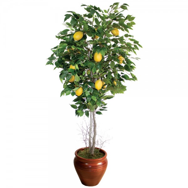 Limon Yapay Ağaç